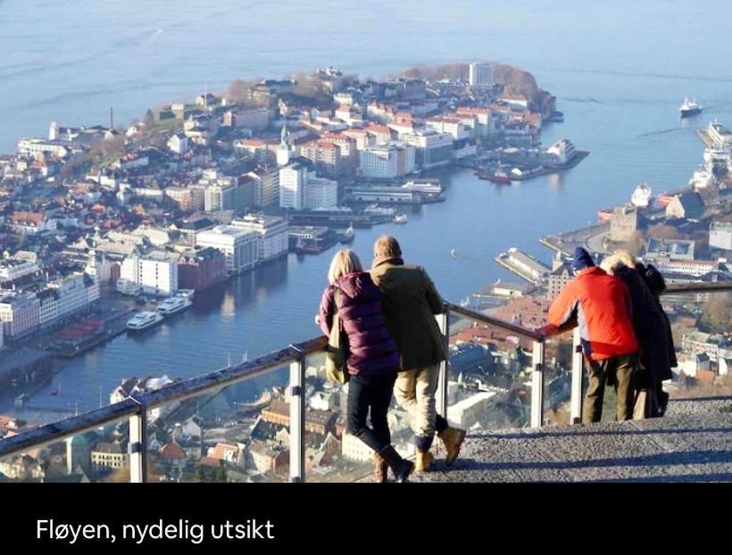 Lille Ovregate Daire Bergen Dış mekan fotoğraf