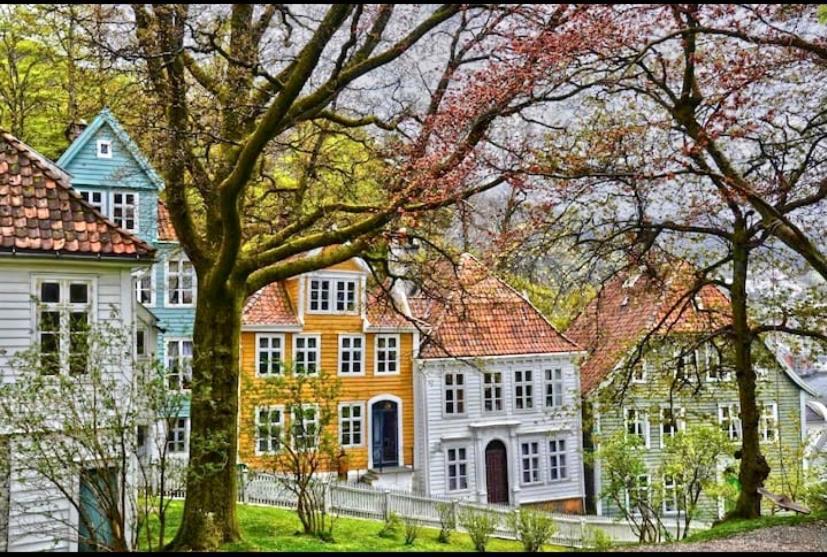 Lille Ovregate Daire Bergen Dış mekan fotoğraf